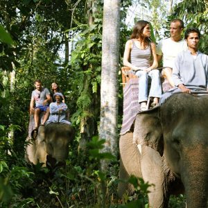 mason elephant ride jungle track, elephant jungle track, bali elephant, bali elephant safari, bali elephant safari park