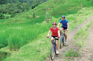 sobek, bali, adventure, cycling, rice paddy, mountain cycling, sobek bali, sobek bali adventure, sobek cycling