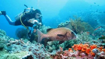 bali advance dive course, advance dive, advance dive courses, bali dive tours