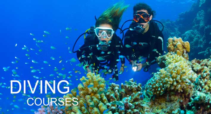 Bali Diving Courses – Bali Dive Schools