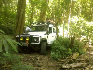 bali, jeep, adventure, land cruise, bali jeep, jeep adventure, bali jeep adventure, 4 wd, land cruises, bedugul, tropical, rain forest