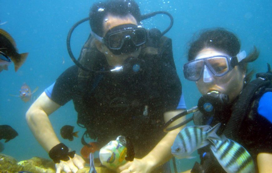 Bali Dive – Diving at Menjangan Wide Package