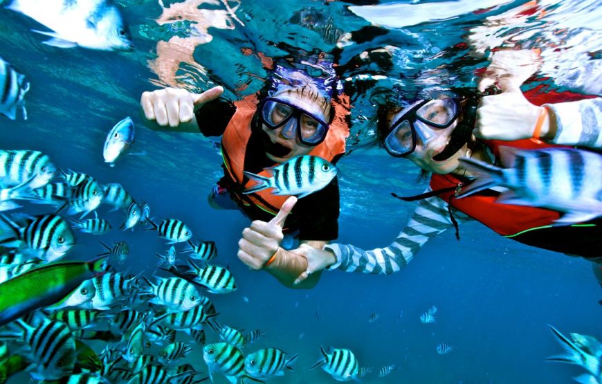 Snorkelling Activities at Nusa Penida Crystal Seawater