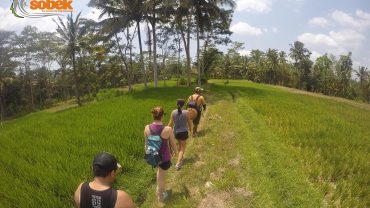 ubud, bali, trekking, hiking, adventures, sobek trekking, trekking adventure, sobek trekking adventure, ubud hiking, ubud trekking