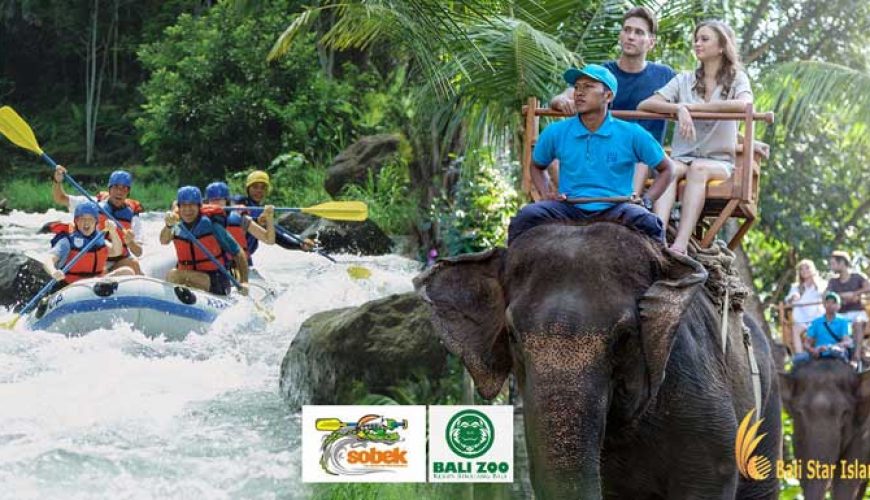 bali zoo elephant rafting, bali zoo elephant, elephant rafting package