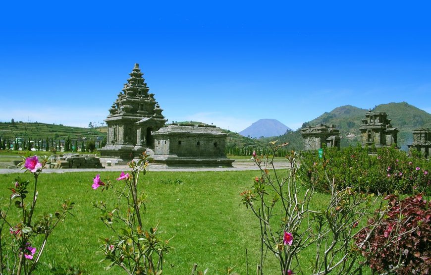 Borobudur and Dieng Tour Yogyakarta One-day Trip