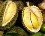 durian, indonesia, bali, agricultural, bali agricultural