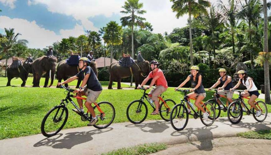 Mason Rafting and Cycling Package mason cycling, mason elephant safari, mason cycling elephant safari. elephant safari package