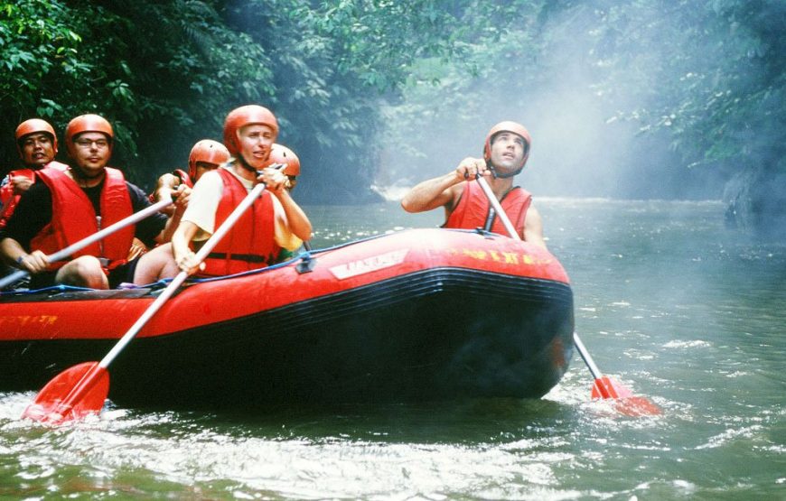 Bali Rafting Experience and Marine Walk Activities Combination Packages