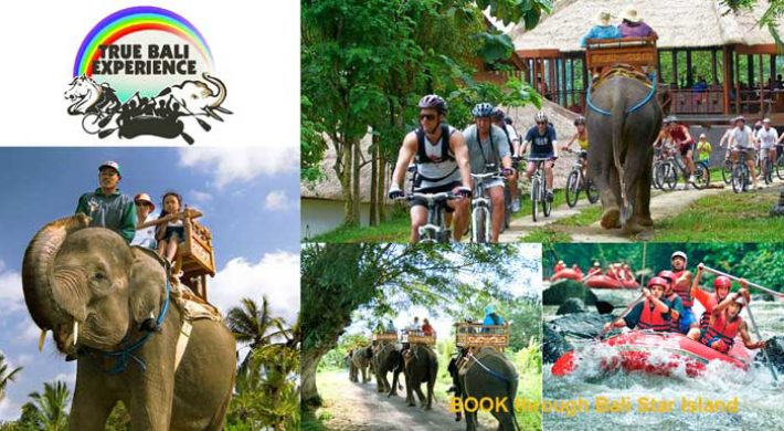 Cycling Elephant Ride Rafting Package – A True Bali Experience