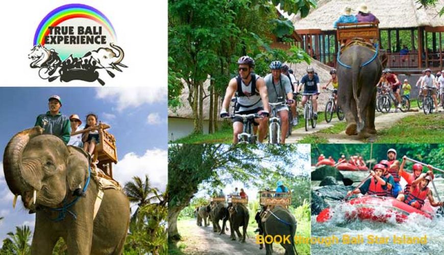 bali cycling, bai cycling elephant ride, elephant ride, elephant ride rafting package, three adventure package