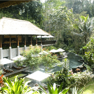 maya ubud,maya resort,maya cafe,maya river cafe