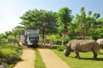 Rhino Package on Bali Safari