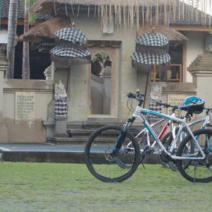 alam puisi,alam puisi villa, alam puisi villa ubud, cycling activity alam puisi villa