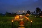 alam puisi,alam puisi villa, alam puisi villa ubud, romantic dinner alam puisi villa