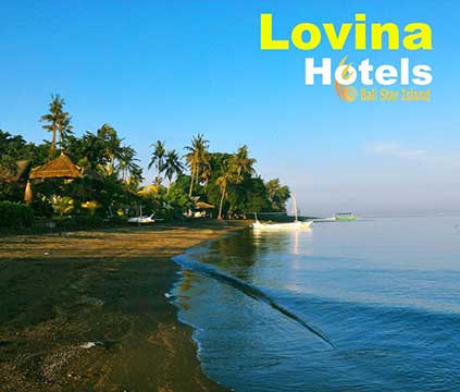 lovina hotels, singaraja hotels, lovina resorts, north bali resorts