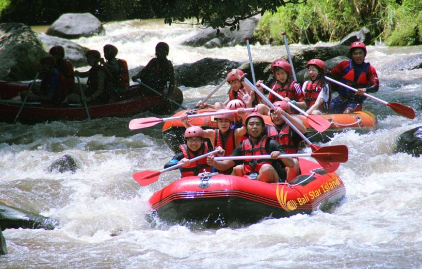 Rafting Ubud Tour | Bali Tour Packages (BLFD.10)
