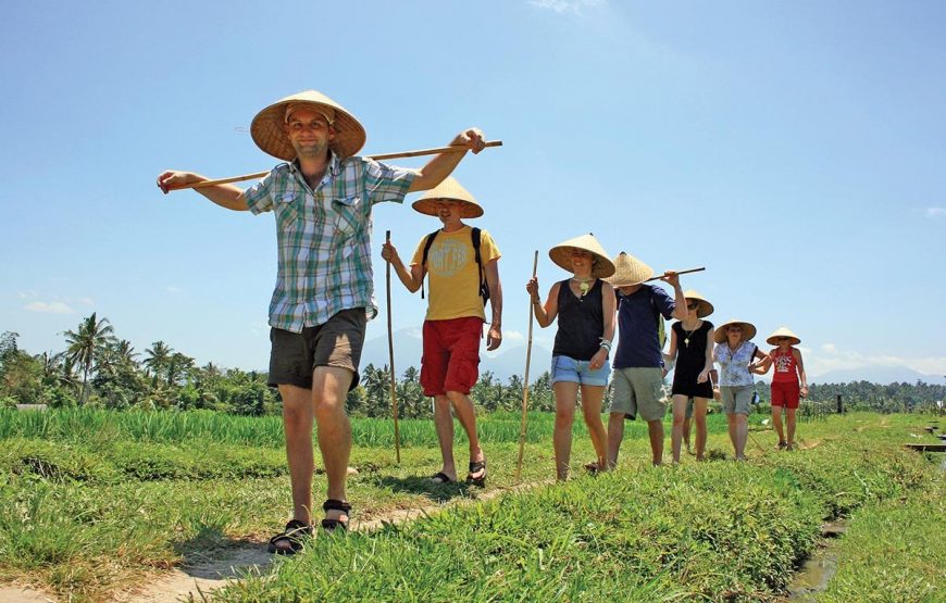 Traditional Way Farming Tour | Bali Shore Excursions
