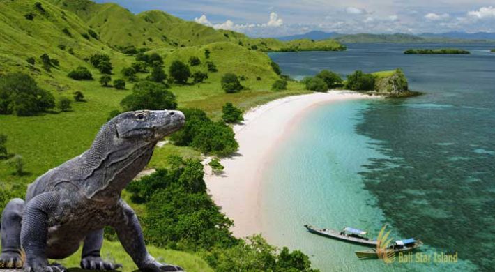 Komodo Tour Package 2D1N (Stay on Boat)