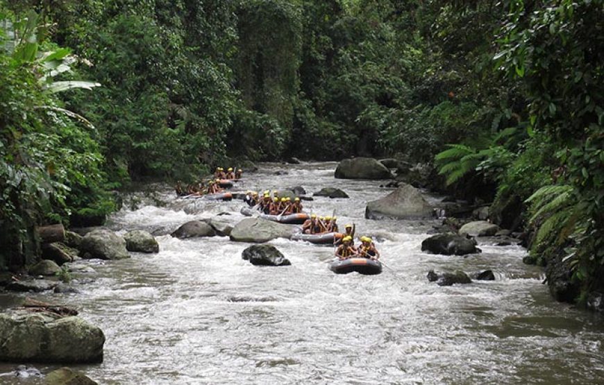 Mason Adventure Rafting – Ayung River Rafting Ubud
