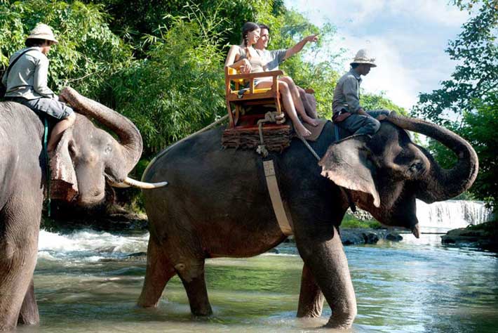 bali zoo, bali zoo elephant, zoo elephant, bali zoo elephant ride, bali zoo elephant expedition, experience