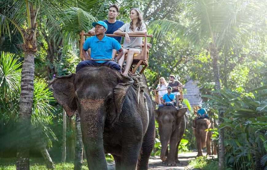 Cycling Elephant Ride Rafting Package