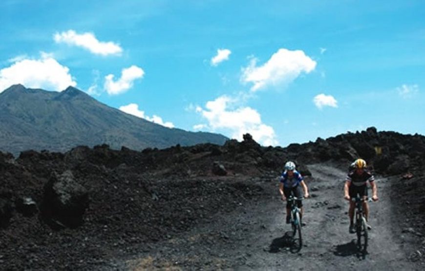 Lakeside Batur Cycling Tour with Hot Spring