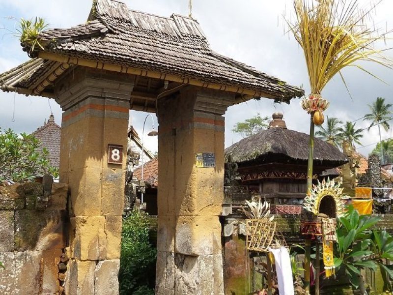 traditional village, cultural heritage, penglipuran