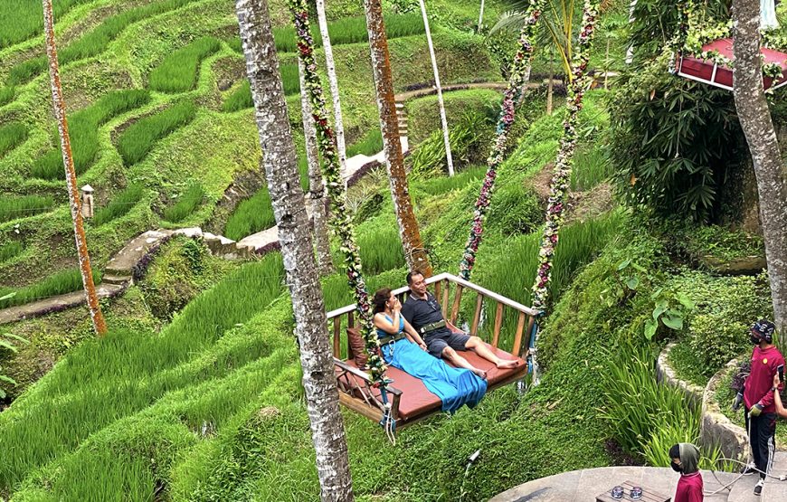 Rice Terrace Swing Ubud Expedition