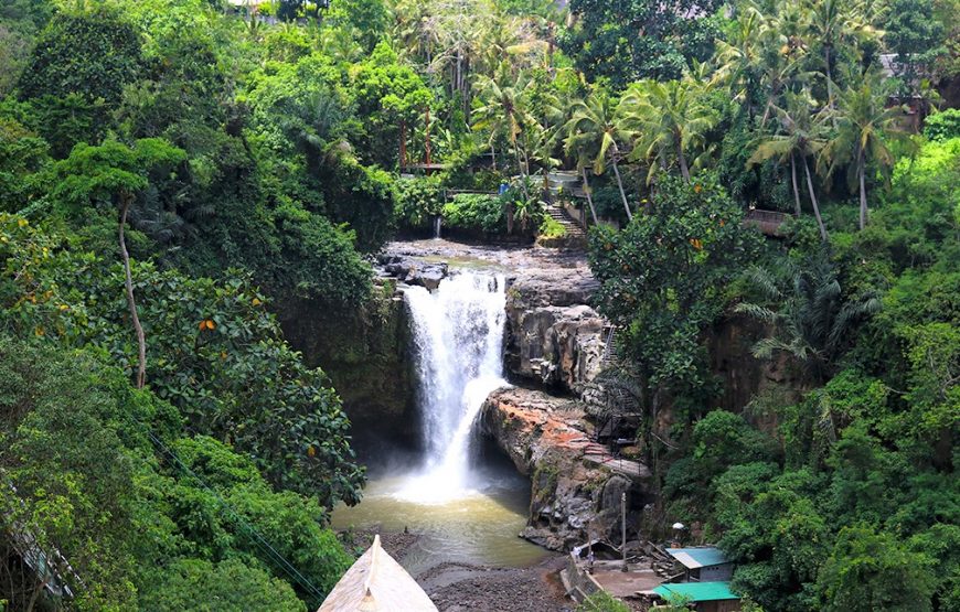Tukad Cepung Waterfall Bali Hidden Gem Tour (BLFD.16)