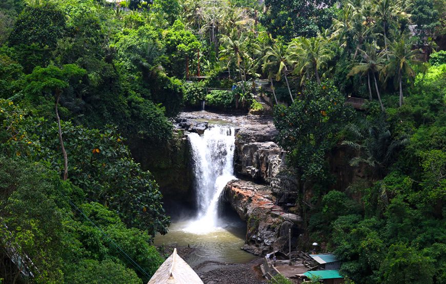 Bali Waterfalls Hidden Treasure Tour