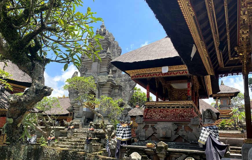 Ubud Bali Art Village Tour (BLFD.20)
