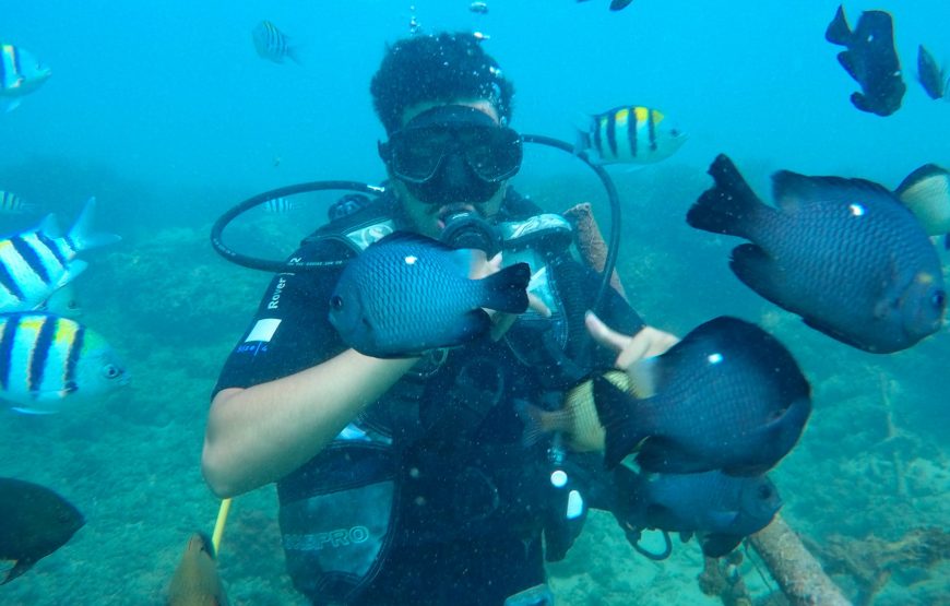 Bali Dive at Padang Bai – Blue Lagoon Dive Site