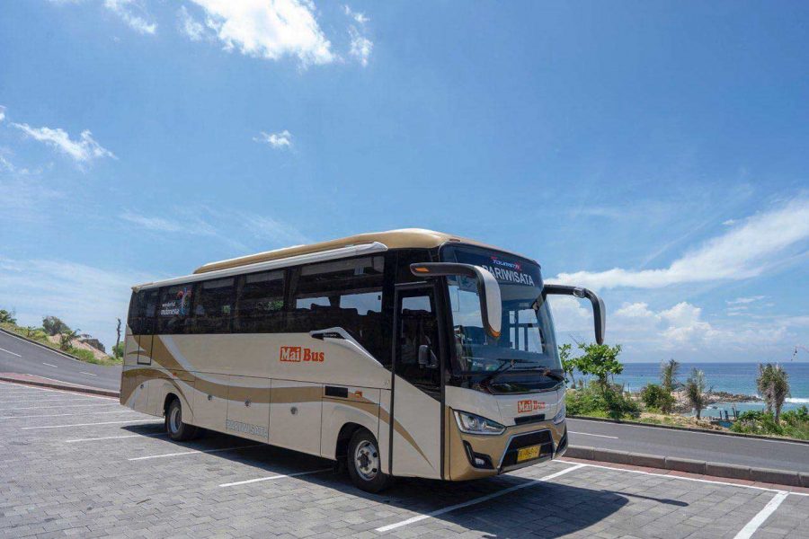 Car Transfer Medium Bus