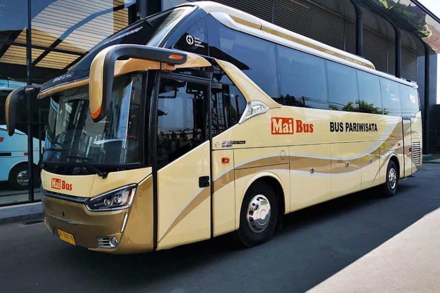 Car Transfer Medium Bus