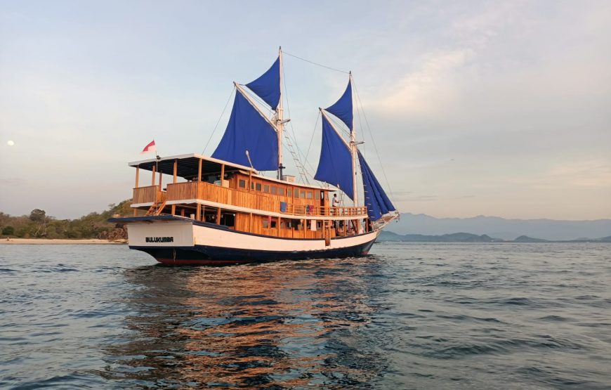 KOMODO ISLAND TOUR MEETS THE DRAGONS SLEEP ON BOAT AND HOTEL 3 DAYS