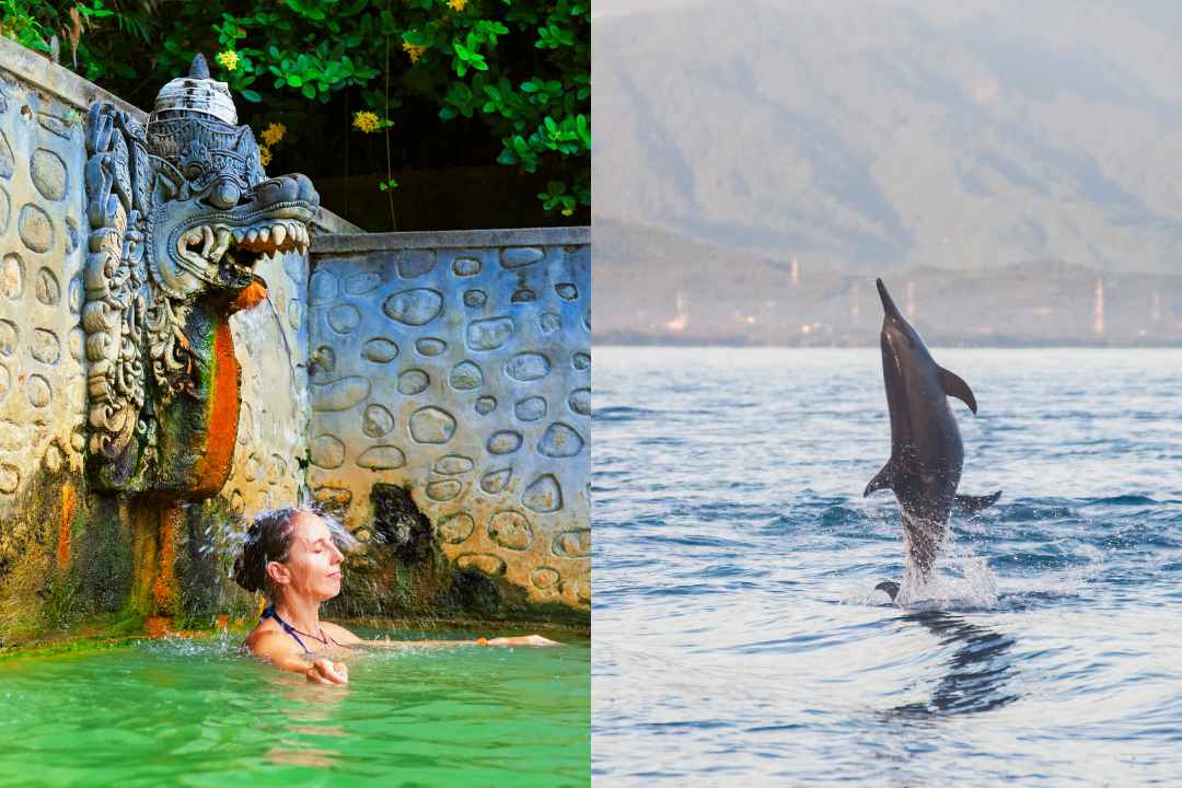 Lovina Festival 2025, North Bali culture, Buleleng tourism, Dolphin watching in Lovina