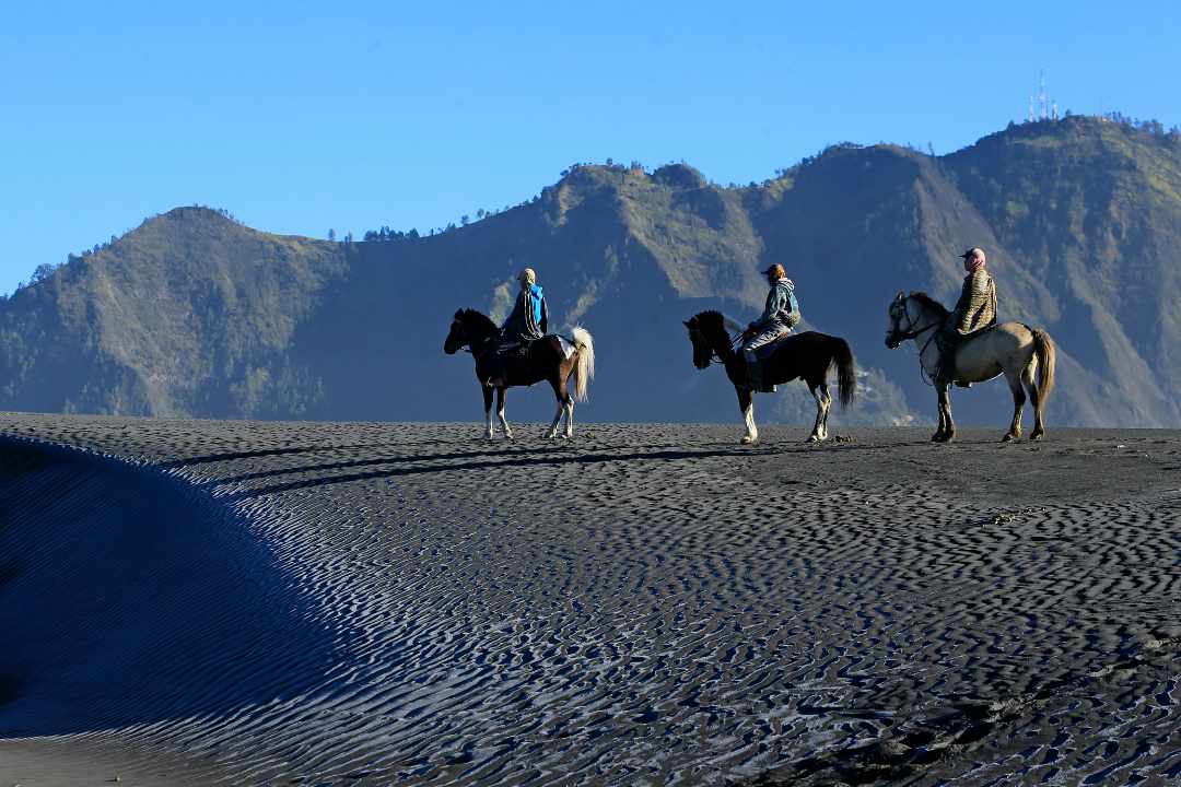 Bromo Mountain, Bromo Tengger Semeru National Park, East Java travel guide