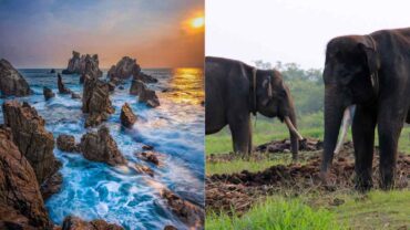 Lampung travel destination, Things to do in Lampung, Tourism beyond Bali, Way Kambas National Park, Island hopping Lampung, Krakatau travel experience