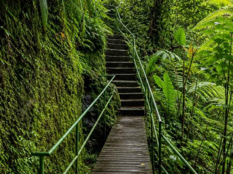 Goa Raja Waterfall, Hidden Waterfall in Bali, Bali Tourist Attraction, Goa Raja Waterfall Bali, Secret Waterfall Bali, East Bali Waterfall, Bali Nature Destination, Bali Waterfall Guide, Bali Adventure, Bali Star Island