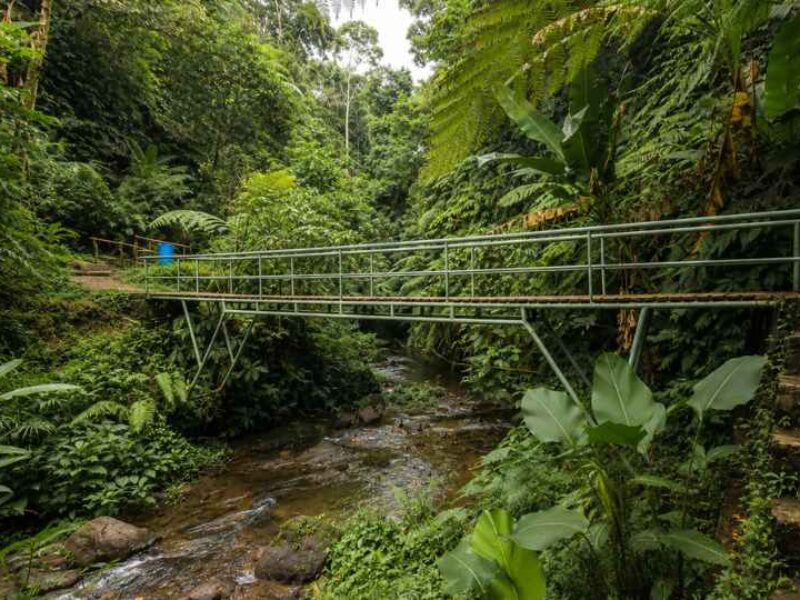 Goa Raja Waterfall, Hidden Waterfall in Bali, Bali Tourist Attraction, Goa Raja Waterfall Bali, Secret Waterfall Bali, East Bali Waterfall, Bali Nature Destination, Bali Waterfall Guide, Bali Adventure, Bali Star Island