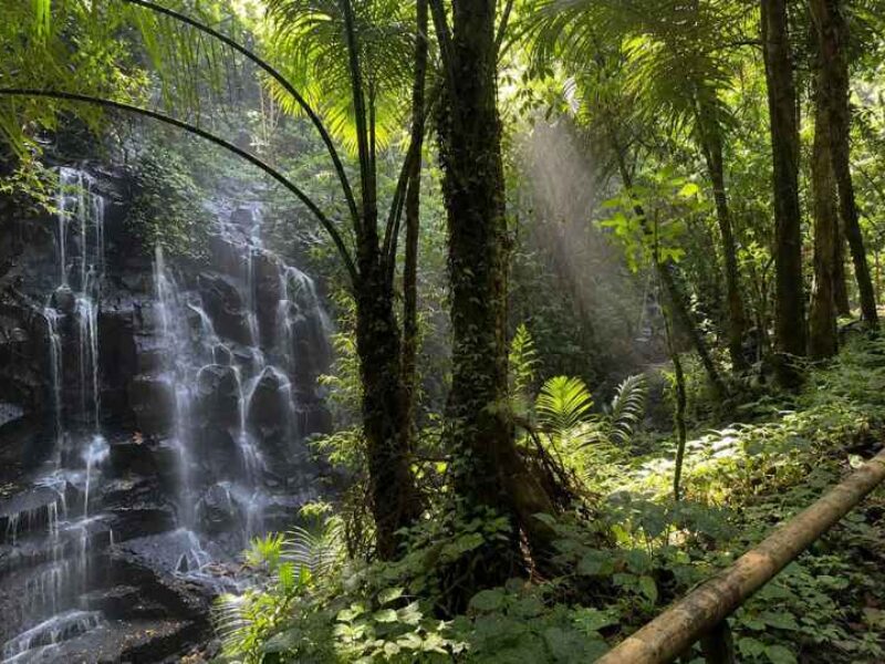 Kanto Lampo Waterfall, Bali Hidden Waterfall, Bali Tourist Attraction, Waterfall in Gianyar, Waterfall Near Ubud, Best Waterfalls in Bali, Things to Do in Gianyar Bali, Bali Nature Attractions, Bali Star Island