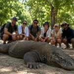 Komodo Trip, Komodo Island Tour, Komodo National Park, Padar Island Viewpoint, Komodo Dragon Experience, Komodo Liveaboard Trip, Labuan Bajo Tour, Komodo Boat Trip, bali star island