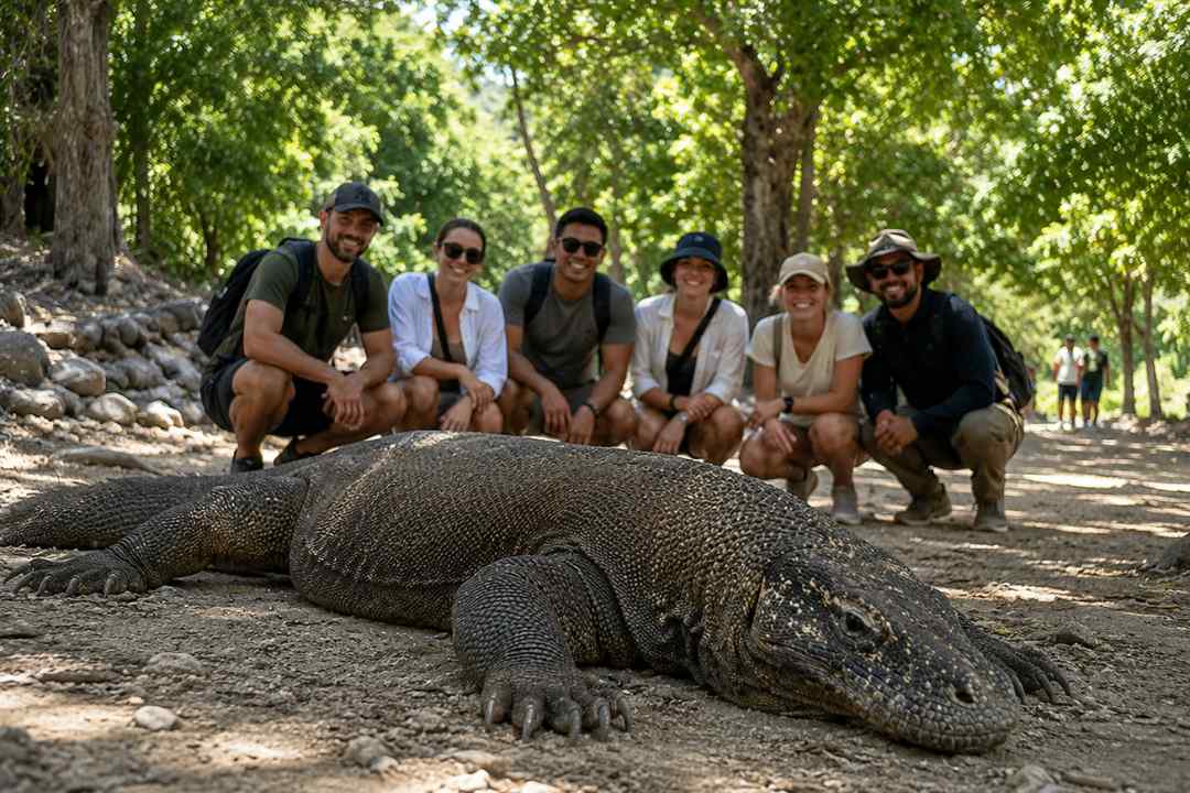 Komodo Trip, Komodo Island Tour, Komodo National Park, Padar Island Viewpoint, Komodo Dragon Experience, Komodo Liveaboard Trip, Labuan Bajo Tour, Komodo Boat Trip, bali star island