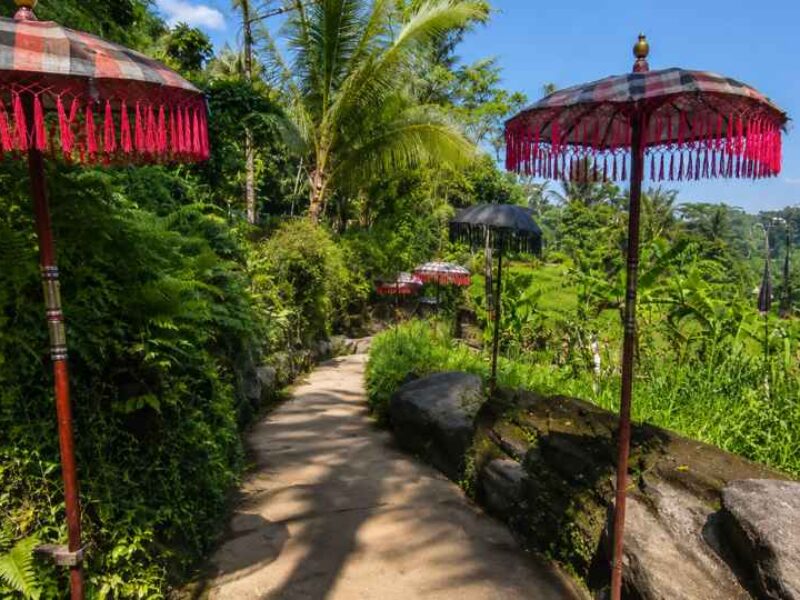 Taman Beji Griya Waterfall, Bali Purification Ritual, Bali Tourist Attraction, Melukat Ceremony Bali, Hidden Waterfall in Bali, Spiritual Experience in Bali, Taman Beji Griya Temple, Sacred Waterfall Bali, Bali Star Island