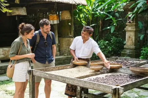 Local guide explaining coffee beans to tourists at a Bali plantation