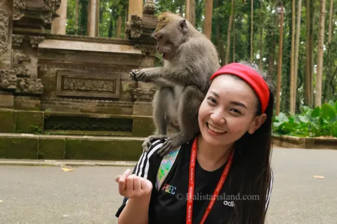 Tourists smiling and safely interacting with long-tailed macaques at Sangeh Monkey Forest.
