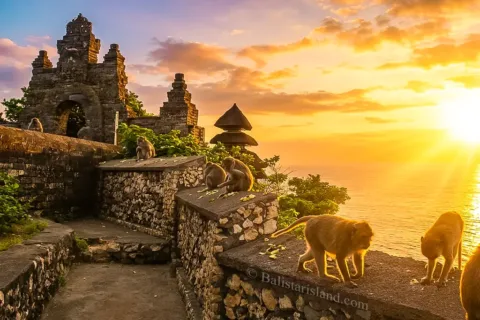 Group of long-tailed macaques resting at Uluwatu Temple grounds during a warm Bali sunset.