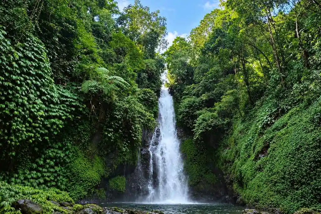 Gitgit Waterfall cascading through lush tropical forest in Bali