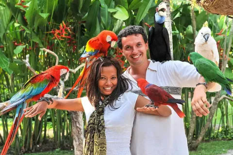 Happy couple surrounded by colorful birds at Bali Zoo
